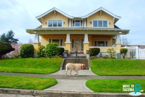 A home in the North Slope HIstoric district with a dog walking by